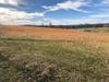 146 State Rte 146 photo